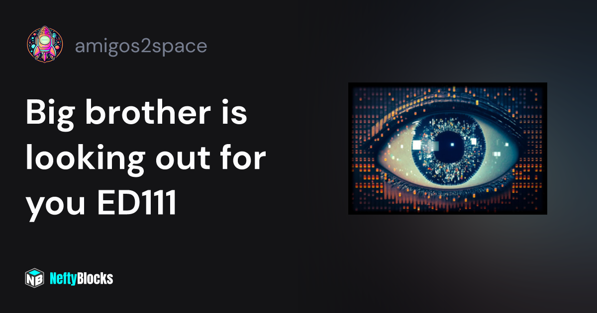 Big brother is looking out for you ED111 - amigos2space on NeftyBlocks ...